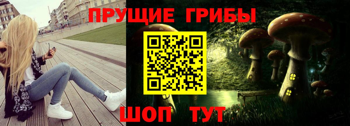 Псилоцибиновые грибы Psilocybe  Псилоцибиновые грибы GOLDEN TEACHER  Вход с VPN  Черняховск 